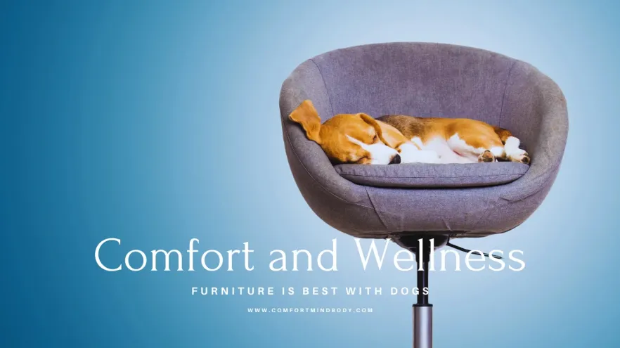 What Type Of Furniture Is Best With Dogs In 2026? 2 furniture is best with dogs