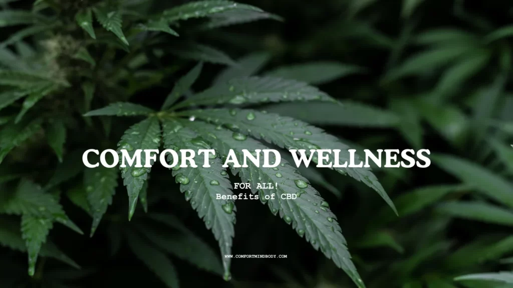 Unlock The Benefits Of CBD: Discover The Best Products For You! 1 Benefits of CBD