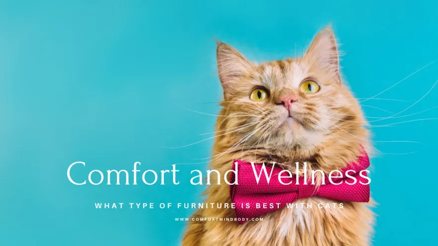 What Type Of Furniture Is Best With Cats In 2026? 2 what type of furniture is best with cats